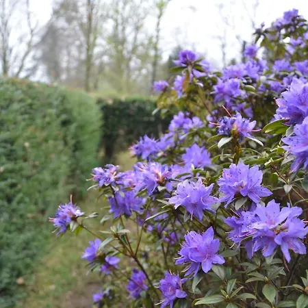 Malvahof Farm stay Loerbeek